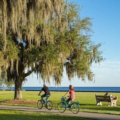 mandeville-estate-planning-attorney-chink-ogden